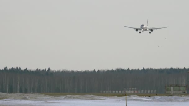 Ett flygplan som landar över skogen — Stockvideo