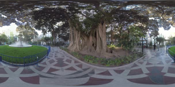 360 Vr Plaza de Gabriel Miro i Alicante, Spanien — Stockvideo