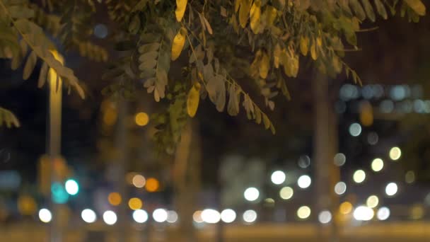 Luces Bokeh en la ciudad nocturna — Vídeo de stock