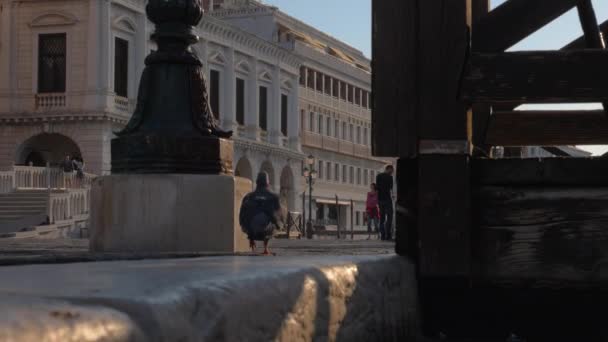 En el paseo marítimo Riva degli Schiavoni en Venecia, Italia — Vídeo de stock