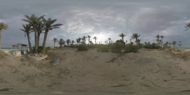 360 VR Покинута територія на березі моря — стокове відео