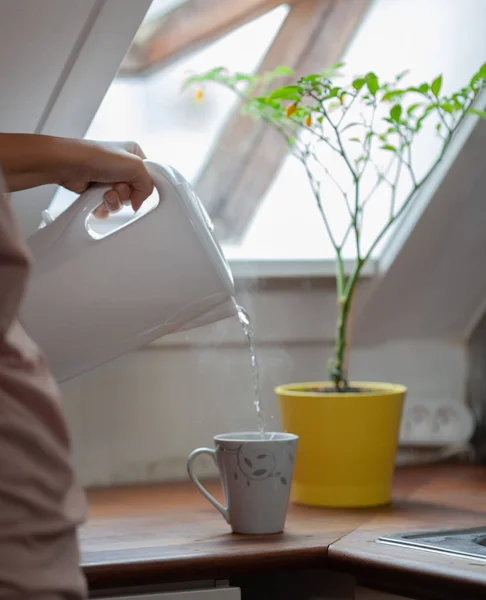 Een keuken pastoraal — Stockfoto