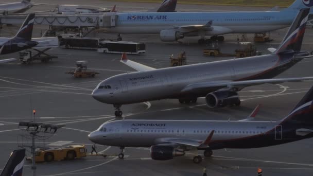 Aviones retroceden y abordan en el aeropuerto de Sheremetyevo en Moscú, Rusia — Vídeo de stock