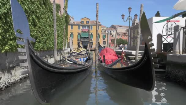 A slowmotion of two gondolas swaying on water on a bright day — Stock Video