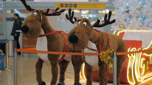 Kerstversiering met rendieren op Sheremetyevo Airport, Moskou — Stockvideo