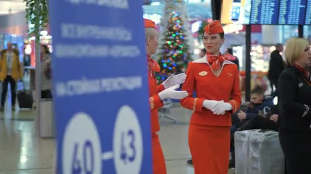 Pretty cheerful Aeroflot stewardesses in red uniform — Stock Video