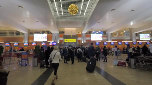 Pasajeros en cola a las puertas de salida en el aeropuerto de Sheremetyevo, Moscú — Vídeo de stock