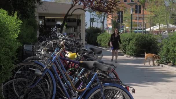 Kvinna med hund går på gatan med parkerade cyklar. Lido, Italien — Stockvideo