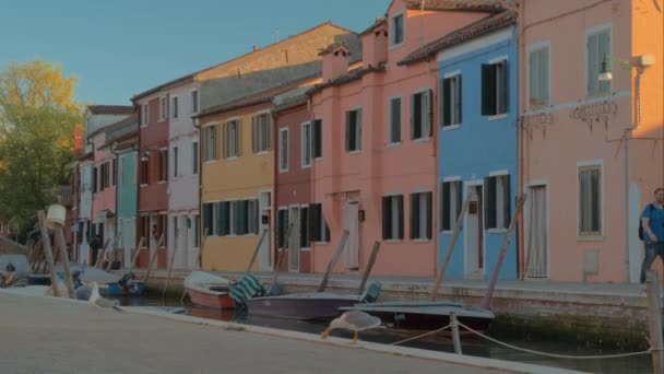 Burano escena con gaviota cerca del canal, Italia — Vídeo de stock