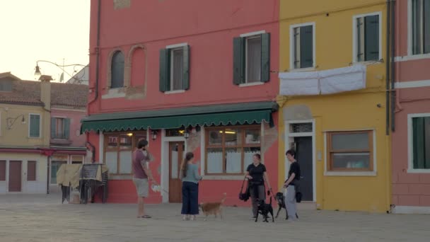 Människor med hundar pratar på gatan. Burano, Italien — Stockvideo