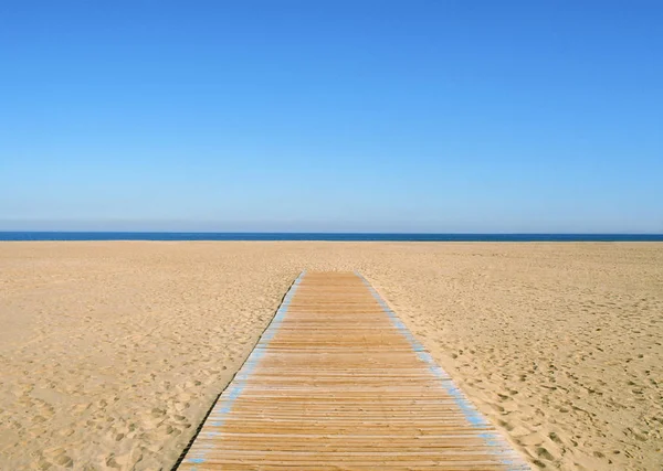 A path to the sea — Stock Photo, Image