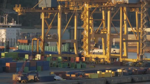 Timelapse зайнятого контейнерного порту — стокове відео