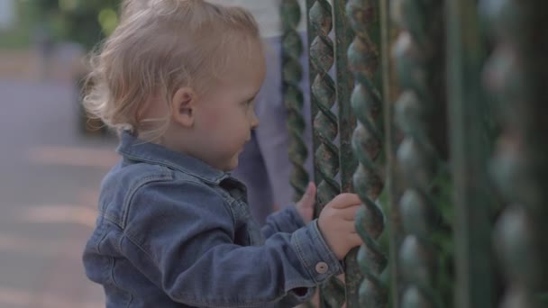 A curious baby — Stock Video