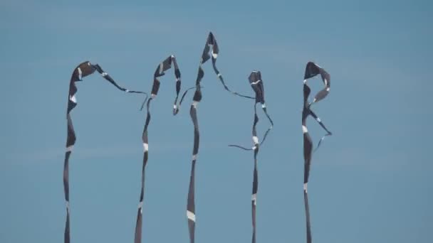 Svajande tyg remsor på himmel bakgrund — Stockvideo