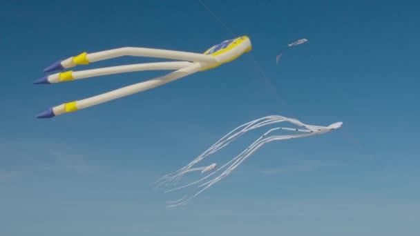 Verschillende vliegers op wind Festival in Valencia, Spanje — Stockvideo