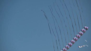 Valencia Rüzgar Festivali, İspanya