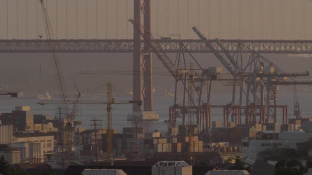 Containerhafen und Autobrücke — Stockvideo