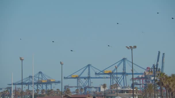 Летающие воздушные змеи и контейнерные краны в порту Валенсии — стоковое видео