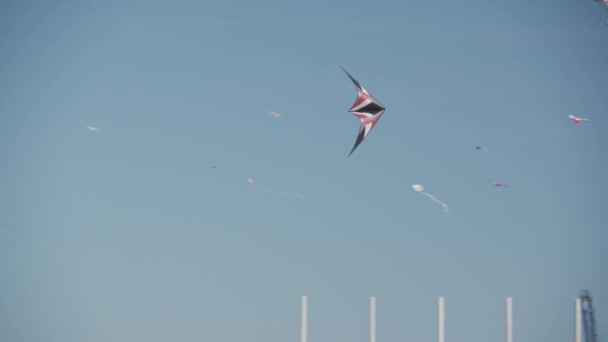 Barevné kity létající v modrém nebi — Stock video