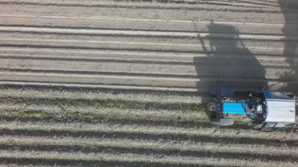 Potato harvesting machine on the farmland, aerial — Stock Video