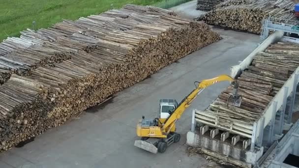 En traktor-logger i ett timmer läger — Stockvideo