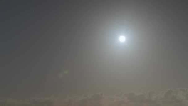 Uma aeronave voadora em luz de contorno — Vídeo de Stock