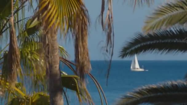 Uma vela branca em um mar azul — Vídeo de Stock