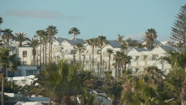 Casas e palmeiras em Lanzarote, Ilhas Canárias — Vídeo de Stock