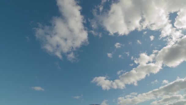 Samolot w kierunku lądowania, widok z góry — Wideo stockowe
