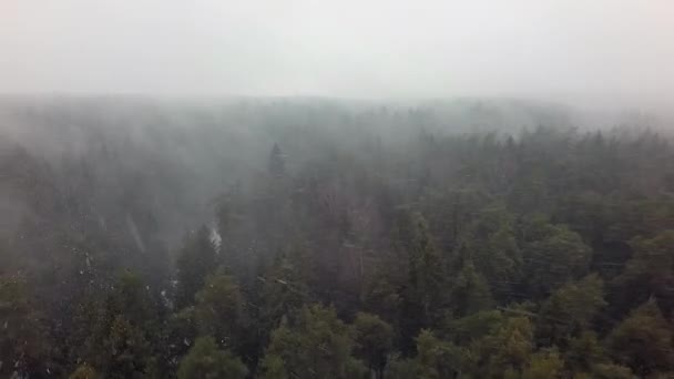 Uma vista aérea de uma floresta de coníferas sem fim em uma queda de neve — Vídeo de Stock