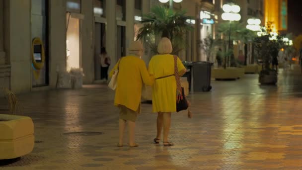 Starsze kobiety przyjaciele chodzenie w noc miasto — Wideo stockowe