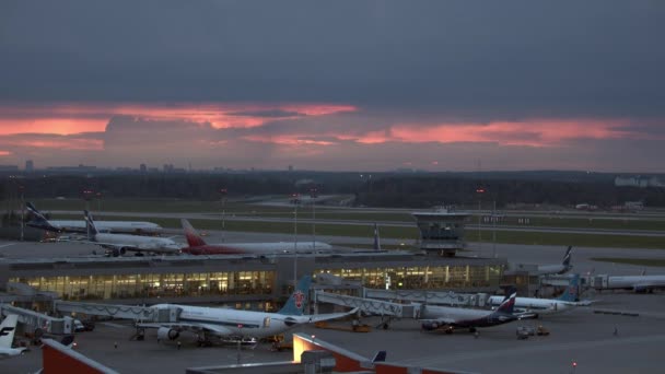 Sheremetyevo Uluslararası Havaalanı Terminal D alacakaranlıkta. Moskova, Rusya Federasyonu — Stok video