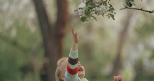 Маленький ребенок прилагает усилия, чтобы добраться до ветки дерева — стоковое фото