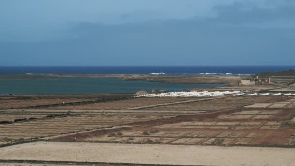 Salinas de Janubio zoutvlaktes en palen. Lanzarote landschappen, Canarische Eilanden — Stockvideo