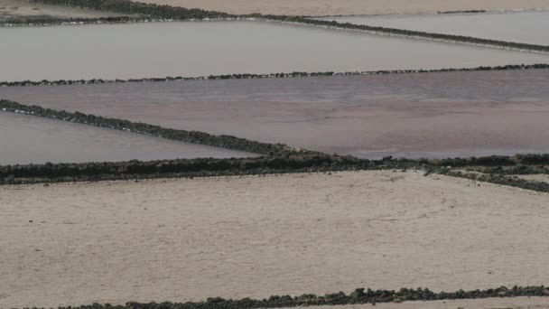 Ekstrakcja soli. Salinas de Janubio na Lanzarote — Wideo stockowe