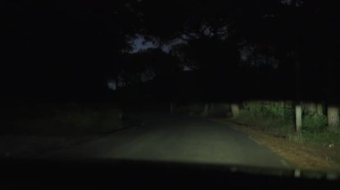 Ormanın içindeki boş kırsal yol gece araba farlarıyla aydınlatılıyor derin gölgeler ve ağaçlarla