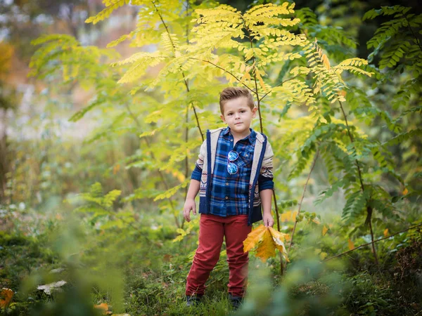 Liten pojke som spelar i gult bladverk. Hösten i stadsparken — Stockfoto