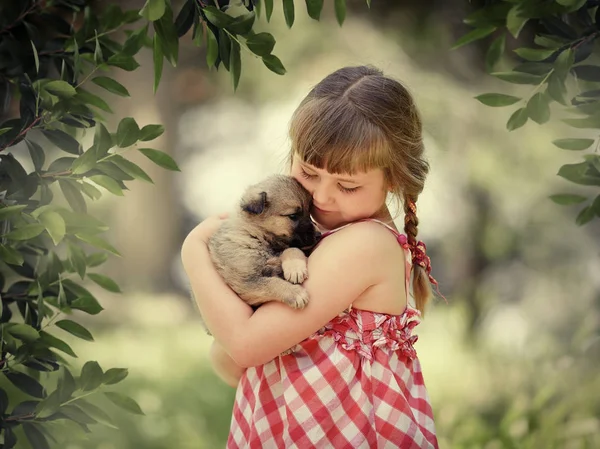 Menina com um cachorro — Fotografia de Stock