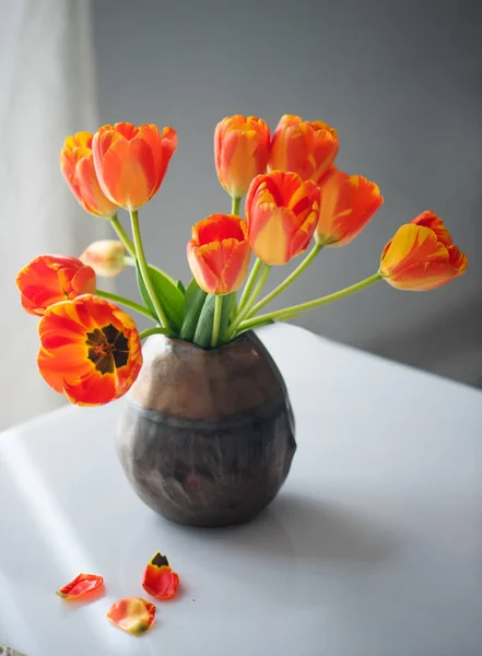 Vackra Stilleben med tulpaner — Stockfoto