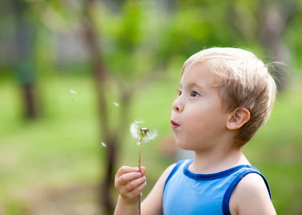 Little cute boy blond blowing a dandelion in summer. — Stock Photo, Image
