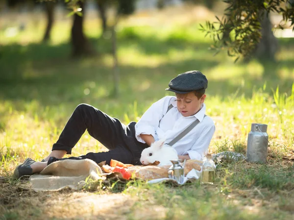 Menino brincando com um coelho no parque em um piquenique — Fotografia de Stock