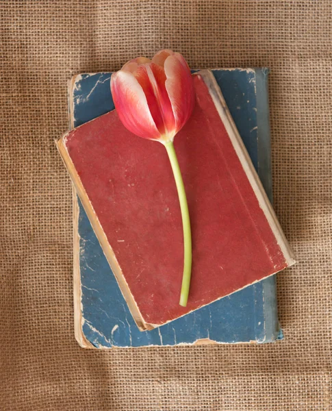 Oude kleurrijke boeken met tulp op retro achtergrond. — Stockfoto
