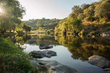 Nehir ve mavi gökyüzü ile yaz manzarası
