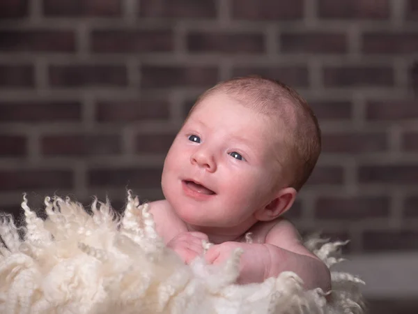 Small newborn baby looks at the camera for nine days. — Stock Photo, Image