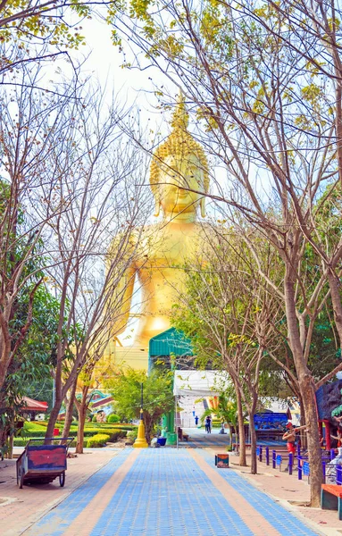 Барвисті Шлях Під Бірма Padauk Дерев Wat Муанг Великий Budha — стокове фото