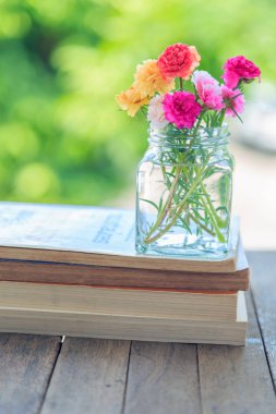 Cam ahşap masa doğa arka plan ile ilgili kitaplar üzerinde Moss gül çiçek.