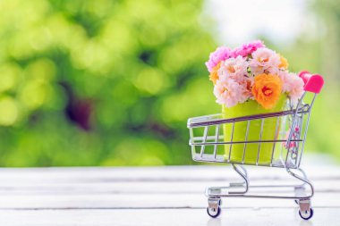 Mini alışveriş sepeti doğa arka plan ile ahşap zemin üzerinde mini bir yeşil kova bir güzel buket moss gül çiçek.