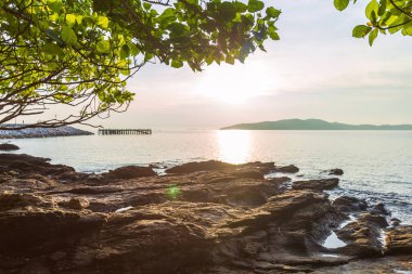 Deniz manzarası sabah bir kayalık sahil ve deniz ve ada arka plan ağaç resmi.