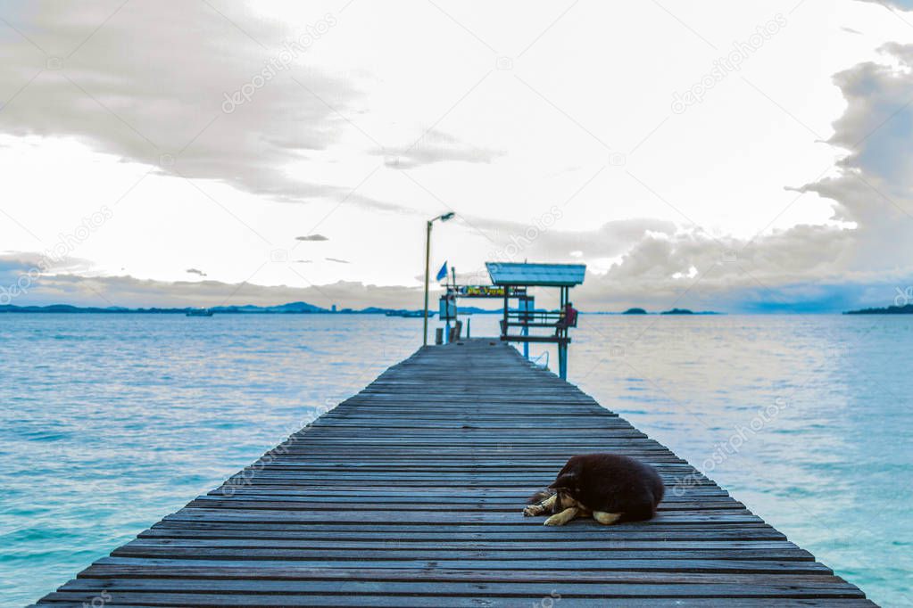A black dog sleeping on wooden bridge extends to the sea pavilion on the beach with clouds and sky in the morning.