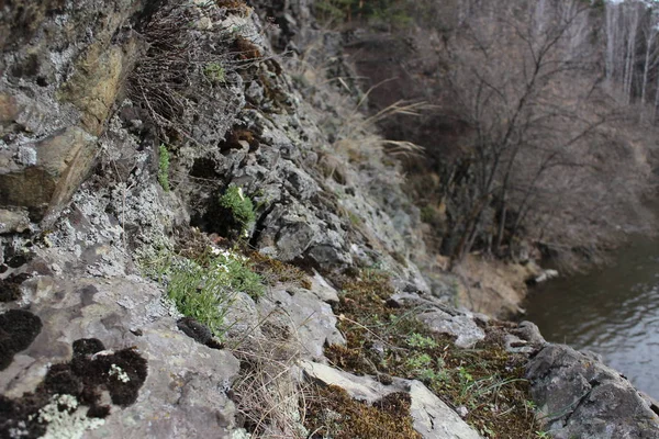 Paesaggio Forestale Campagna Naturale Pietre Calcolo — Foto Stock